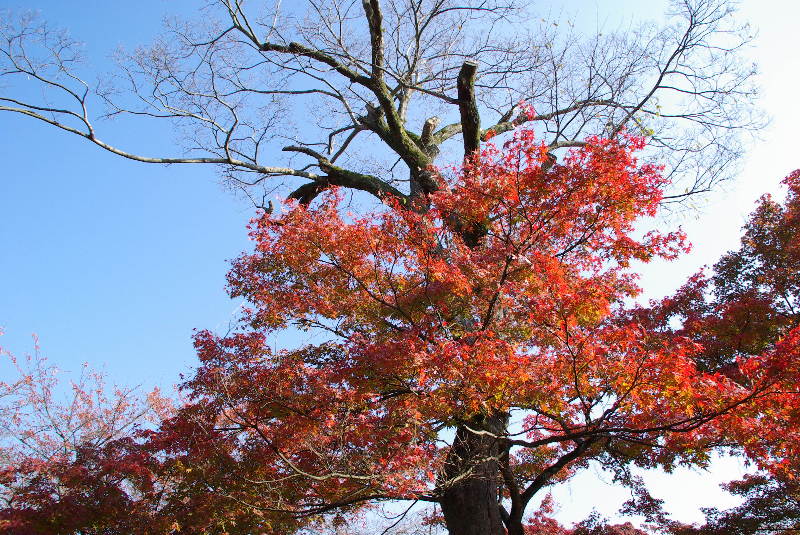 pict0031.jpg