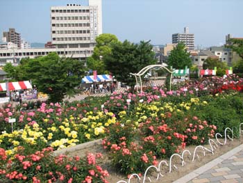 バラ祭2008-2.jpg
