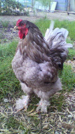 2011061617330000.jpg