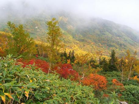 栂池紅葉0266.JPG