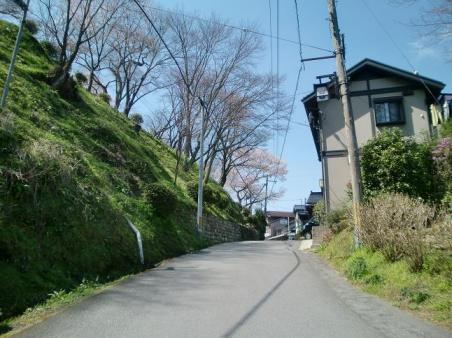 20100327吉野山桜1515.JPG