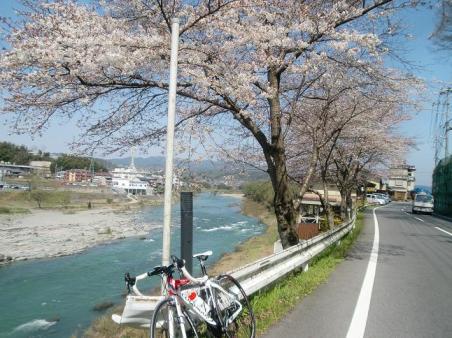 20100327吉野山桜1523.JPG