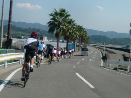 20100918AG和歌山1863.JPG