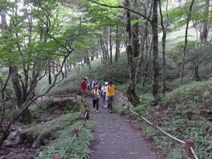 20100808大台ケ原0265.JPG