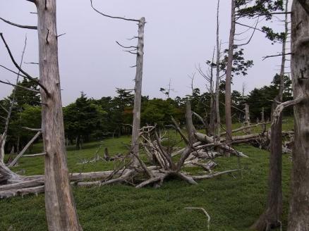 20100808大台ケ原0284.JPG