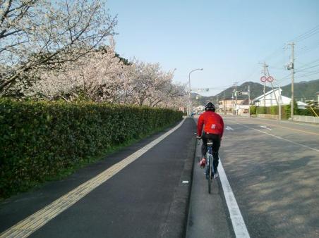 20100322南紀サイクリング1435.JPG