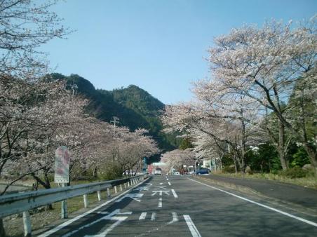 20100322南紀サイクリング後編1508.JPG