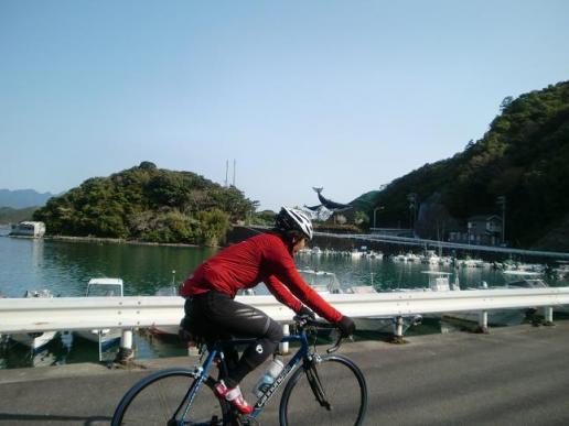 20100322南紀サイクリング前編1459.JPG