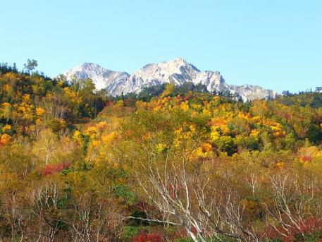 栂池紅葉0230.JPG