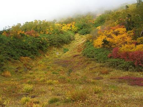 栂池紅葉0261.JPG