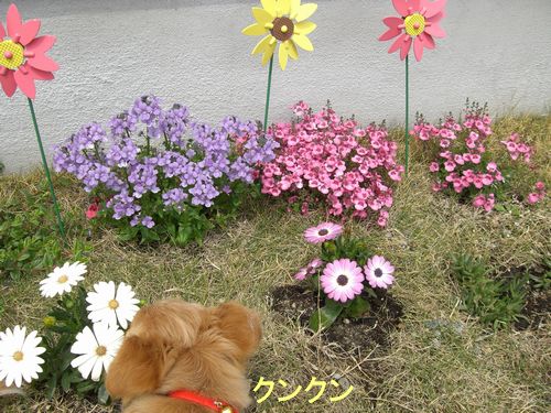 2008.2.25-8.jpg