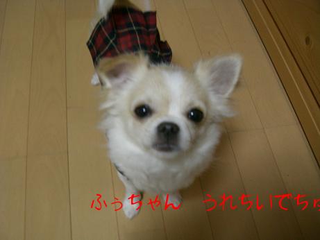2008.1.20fuku5.JPG