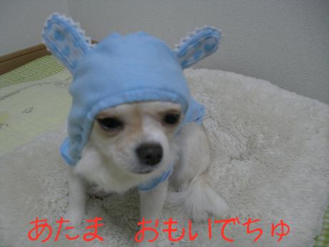 2008.1.27fuku1.JPG
