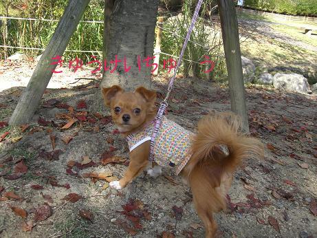 2007.1.17 haruto1.JPG