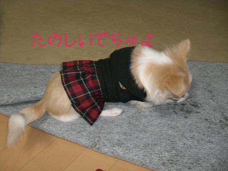 2008.1.21fuku4.JPG