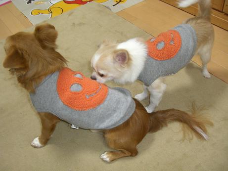 2008.1.16 harutofuku2.JPG