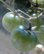 2008-10-22 23:21:36