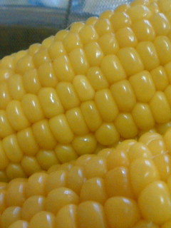 2008-08-09 16:56:47