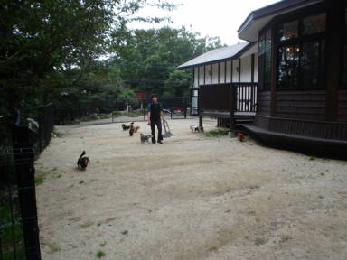 DSC0.JPG