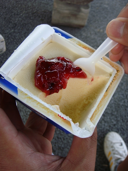 DSC01309.jpg