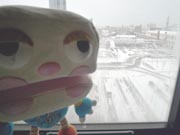 おいおいおい！
