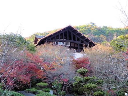 庭から見上げる　大山崎山荘.jpg