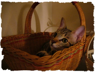 2009.10.7