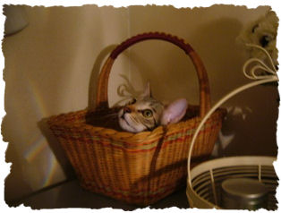 2009.10.7