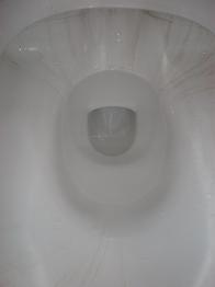 toilet b.JPG