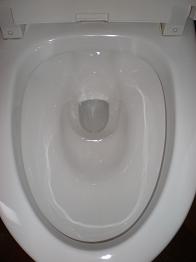 toilet a.JPG