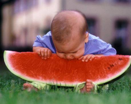 watermelon-eating.jpg.jpg