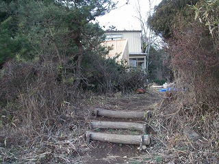 あれは・・・！