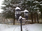 電灯と雪