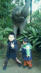 2012010214110000.jpg