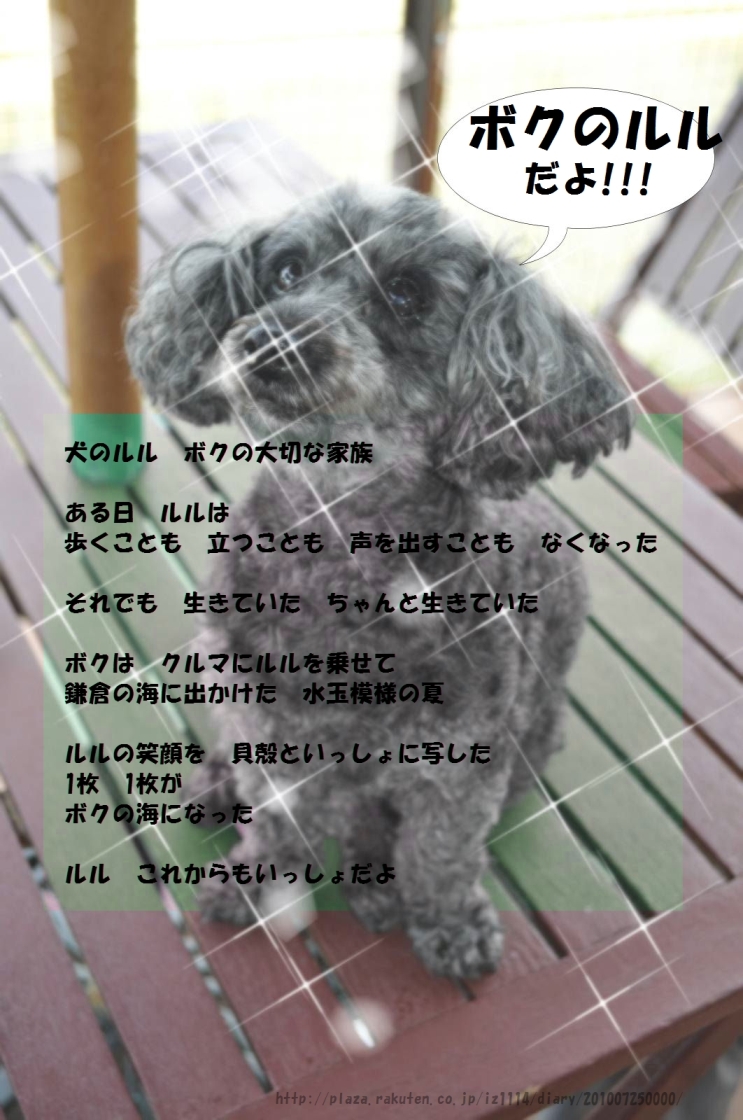 KS写真詩IZ3s70