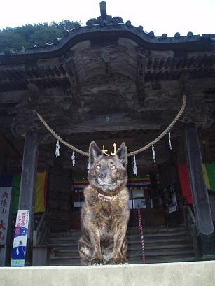 狛犬クロちゃん