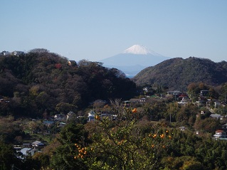 富士山