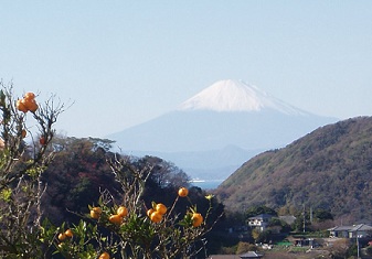 富士山