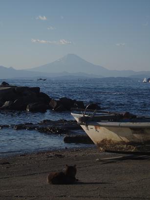 猫と富士山