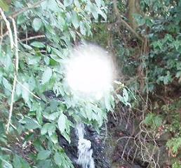 orb