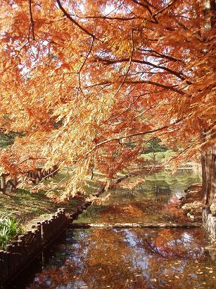 紅葉