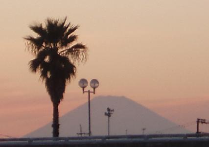 椰子と富士山