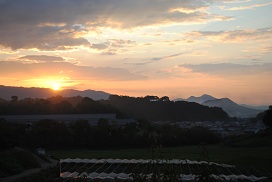 大和の夕日