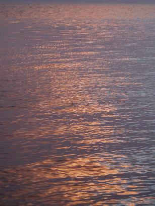 夕日