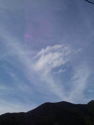 紫の光