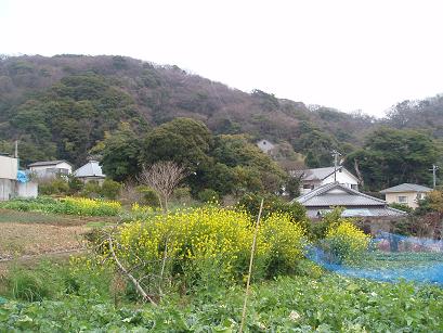農村