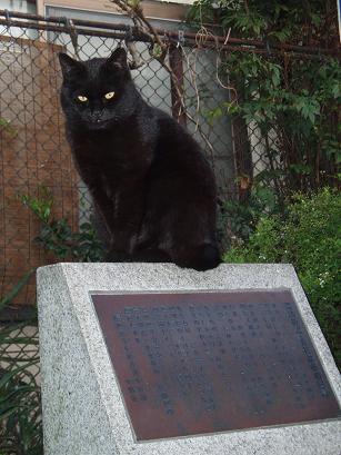 黒ちゃん