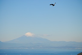 トンビと富士