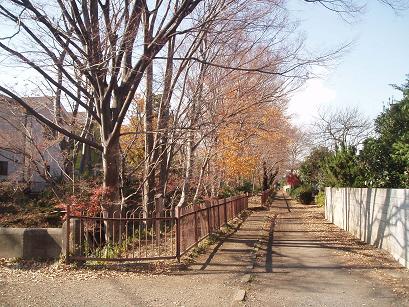 玉川上水