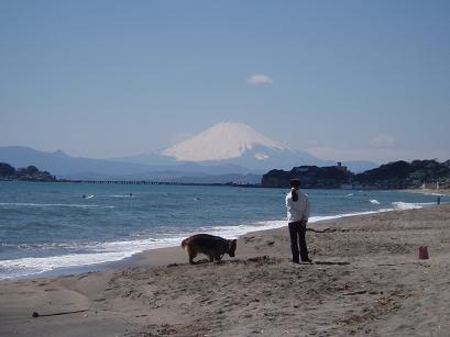 富士山